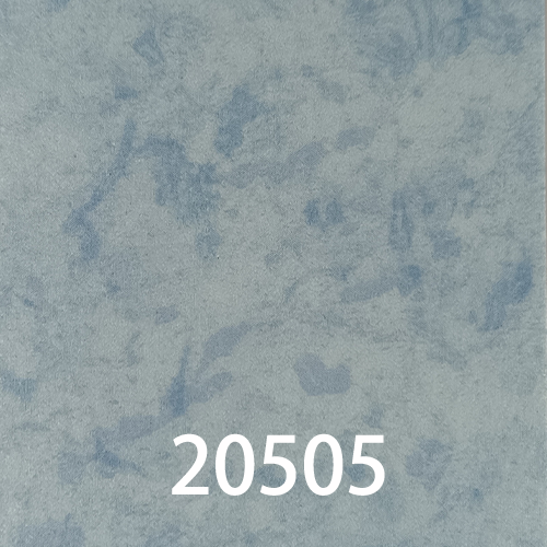 20505的封面