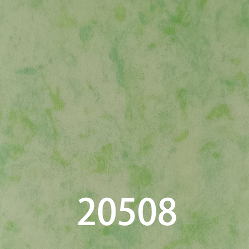 20508的封面